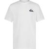 Quiksilver Boys’ Short Sleeve Rashguard Surf Shirt with UPF 50+ Sun Protection, Kid’s Swim Top(White Everyday)