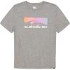 Quiksilver Boys’ Short Sleeve Screen Print Graphic T-Shirt, Soft & Comfortable, Regular Fit(Gray Shadow Cast)