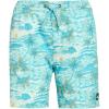 Quiksilver Boys’ Surfsilk Mix Volley (Big Kid)(Aqua)