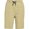 Quiksilver Boys’ Taxer Amphibian(Twill)