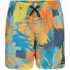 Quiksilver Boys’ Volley Swim Trunks with UPF 50+ Sun Protection, Quick Dry Bathing Suit Shorts(Aqua Sky)
