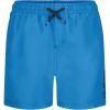 Quiksilver Boys’ Volley Swim Trunks with UPF 50+ Sun Protection, Quick Dry Bathing Suit Shorts(Blithe)