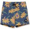 Quiksilver Boys’ Washed Sessions Volley Youth 14 Swim Trunk Bathing Suit(Insignia Blue Mystic Beach)