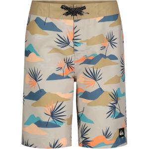 Quiksilver Boys’ Boardshorts with UPF 50+ Sun Protection, Quick Dry Swim Shorts(Silver Slow Daze)
