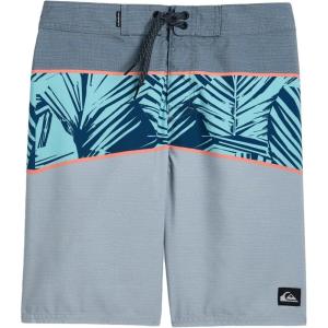 Quiksilver Boys’ Boys Everyday Panel (Big Kid)(Iron)