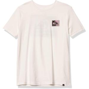 Quiksilver Boys Fractal Logo Tee(White)