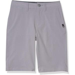 Quiksilver Boys’ Legacy Union Amphibian Shorts(Sleet)