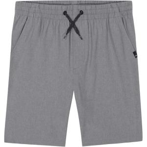 Quiksilver Boys’ Pull-on Amphibian Hybrid Shorts, Comfort Stretch Fabric, Water Friendly(Grey Heather Eddie)