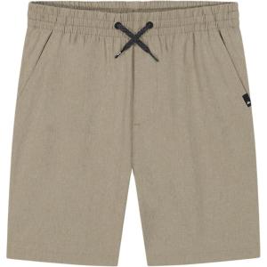 Quiksilver Boys’ Pull-on Amphibian Hybrid Shorts, Comfort Stretch Fabric, Water Friendly(Khaki Heather Eddie)