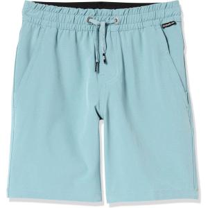 Quiksilver Boys’ Quiksilver Boy’s Taxer Amphibian 13 Hybrid Short Youth(Cadet Gray 241)