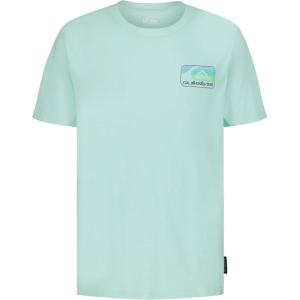 Quiksilver Boys’ Short Sleeve Logo Graphic T-Shirt, Soft & Comfortable, Regular Fit(Brook Green Core)