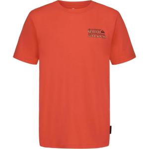 Quiksilver Boys’ Short Sleeve Logo Graphic T-Shirt, Soft & Comfortable, Regular Fit(Coral Snake)