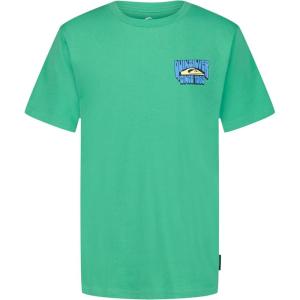 Quiksilver Boys’ Short Sleeve Logo Graphic T-Shirt, Soft & Comfortable, Regular Fit(Green Rider)
