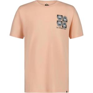 Quiksilver Boys’ Short Sleeve Logo Graphic T-Shirt, Soft & Comfortable, Regular Fit(Morning Sun)