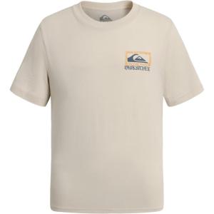 Quiksilver Boys’ Short Sleeve Logo Graphic T-Shirt, Soft & Comfortable, Regular Fit(Silver Birch Sea)