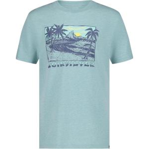 Quiksilver Boys’ Short Sleeve Screen Print Graphic T-Shirt, Soft & Comfortable, Regular Fit(Beach Grey)