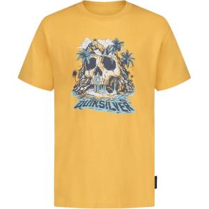 Quiksilver Boys’ Short Sleeve Screen Print Graphic T-Shirt, Soft & Comfortable, Regular Fit(Chamois Paradise)