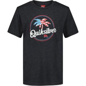 Quiksilver Boys’ Short Sleeve Screen Print Graphic T-Shirt, Soft & Comfortable, Regular Fit(Palm Breezy Black)