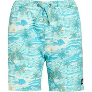 Quiksilver Boys’ Surfsilk Mix Volley (Big Kid)(Aqua)