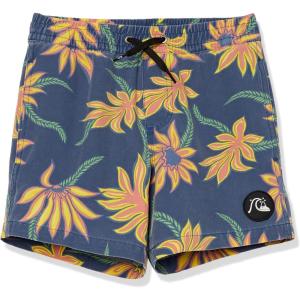 Quiksilver Boys’ Washed Sessions Volley Youth 14 Swim Trunk Bathing Suit(Insignia Blue Mystic Beach)