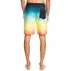 Quiksilver Men’s Standard Everyday Faded Tide 20 Boardshort Swim Trunk(Tarmac)