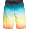 Quiksilver Men’s Standard Everyday Faded Tide 20 Boardshort Swim Trunk(Tarmac)