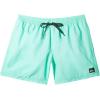 Quiksilver Men’s Everyday Solid 15 Volley Boardshort Swim Trunk(Beveled Glass)