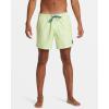 Quiksilver Mens Everyday Solid Volley 15 Swim Trunk(Shadow Lime)