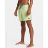 Quiksilver Mens Everyday Solid Volley 15 Swim Trunk(Shadow Lime)