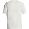 Quiksilver Men’s Everyday Surf Tee Short Sleeve(Snow White)