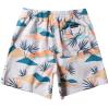 Quiksilver Men’s Men’s Everyday Mix Volley 17 Boardshort Swim Trunk(Birch)
