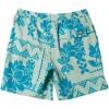 Quiksilver Men’s Standard Roots 17 Volley Boardshort Swim Trunk(Roots Seacrest 241)
