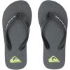 Quiksilver Unisex-Child Molokai Panel Youth 3 Point Sandal(Black 2)