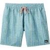 Quiksilver Mens Remade Mix Volley 17nb Elastic Waist Volley Swim Trunk(Alaskan Blue)