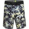 Quiksilver Men’s Standard Highlite Arch 19 Boardshort Swim Trunk(Arch/Black (Kvj7))