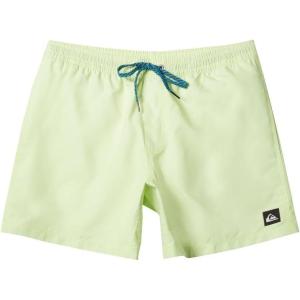Quiksilver Mens Everyday Solid Volley 15 Swim Trunk(Shadow Lime)