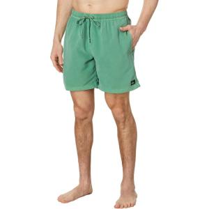 Quiksilver Men’s Quiksilver Men’s Surfsilk Mix 17 Volley Boardshort Swim Trunk(Frosty Spruce 241)