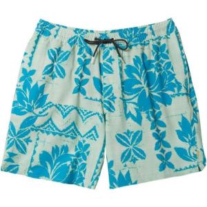 Quiksilver Men’s Standard Roots 17 Volley Boardshort Swim Trunk(Roots Seacrest 241)