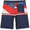 Quiksilver Boys Everyday USA YTH 17 Boardshort Swim Trunk Bathing Suit(Navy Blazer)