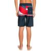 Quiksilver Boys Everyday USA YTH 17 Boardshort Swim Trunk Bathing Suit(Navy Blazer)
