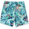 Quiksilver Boys Ocean Mix Str Youth 15 Elastic Waist Volley Swim Trunk Bathing Suit(Iced Aqua)