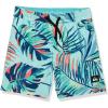 Quiksilver Boys Ocean Mix Str Youth 15 Elastic Waist Volley Swim Trunk Bathing Suit(Iced Aqua)