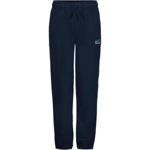 Quiksilver Boys’ Fleece Jogger Sweatpants with Pockets, Elastic Waistband with Drawstring Closure(Navy Wave)
