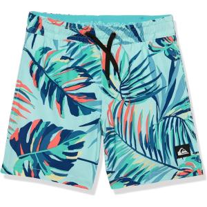 Quiksilver Boys Ocean Mix Str Youth 15 Elastic Waist Volley Swim Trunk Bathing Suit(Iced Aqua)