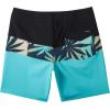 Quiksilver Men’s Standard Surfsilk Panel 20 Boardshort Swim Trunk(Capri)