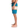 Quiksilver Mens Surfsilk Resin Tint 19 Boardshort Swim TrunkBoard Shorts(Seaport)