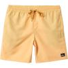 Quiksilver Men’s Everyday Solid 17 Nb Volley(Golden Haze)