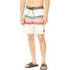 Quiksilver Mens Surfsilk Resin Tint 19 Boardshort Swim TrunkBoard Shorts(Birch)