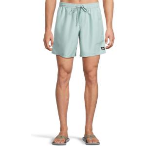 Quiksilver Men’s Everyday Solid 17 Nb Volley(Jade Grey)