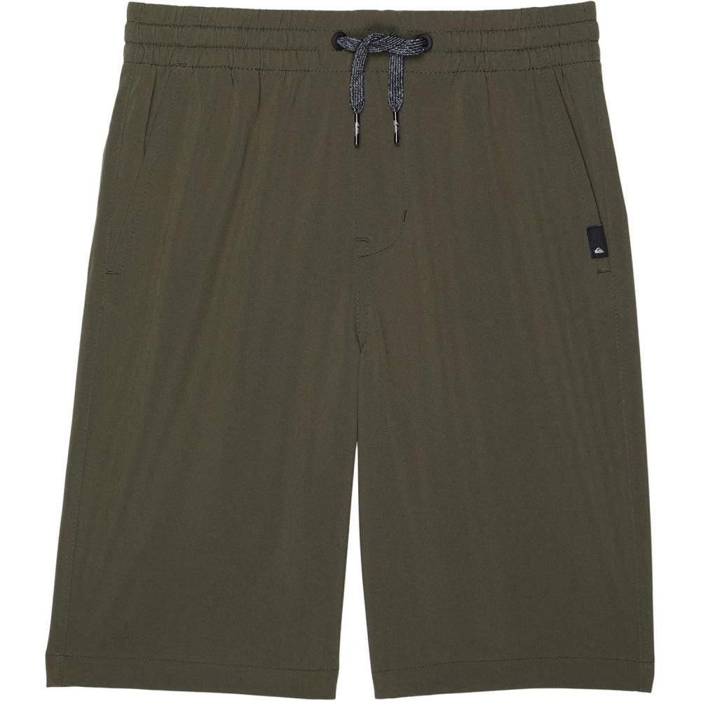 image:imageQuiksilver Ocean Elastic Boy 14 Hybrid Amphibian Water Friendly ShortsGrape Leaf